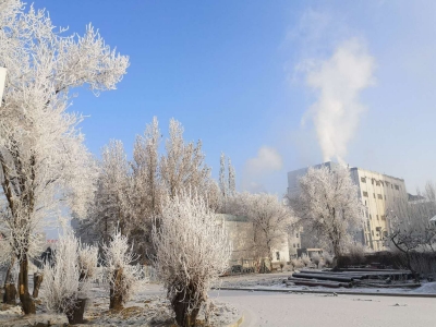 循環(huán)冷卻水系統中沉積物類型(下) 循環(huán)冷卻水系統中沉積物類型(下)