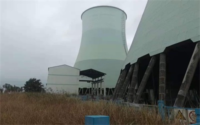 藻類對循環(huán)冷卻水系統的危害